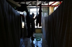 Bilder Chile Und Brasilien 481 (Kopie)